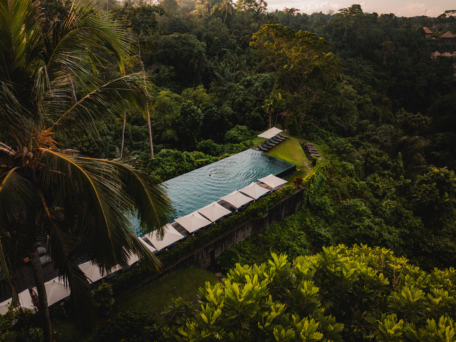 Infinity pool at Alila Ubud with lush jungle views