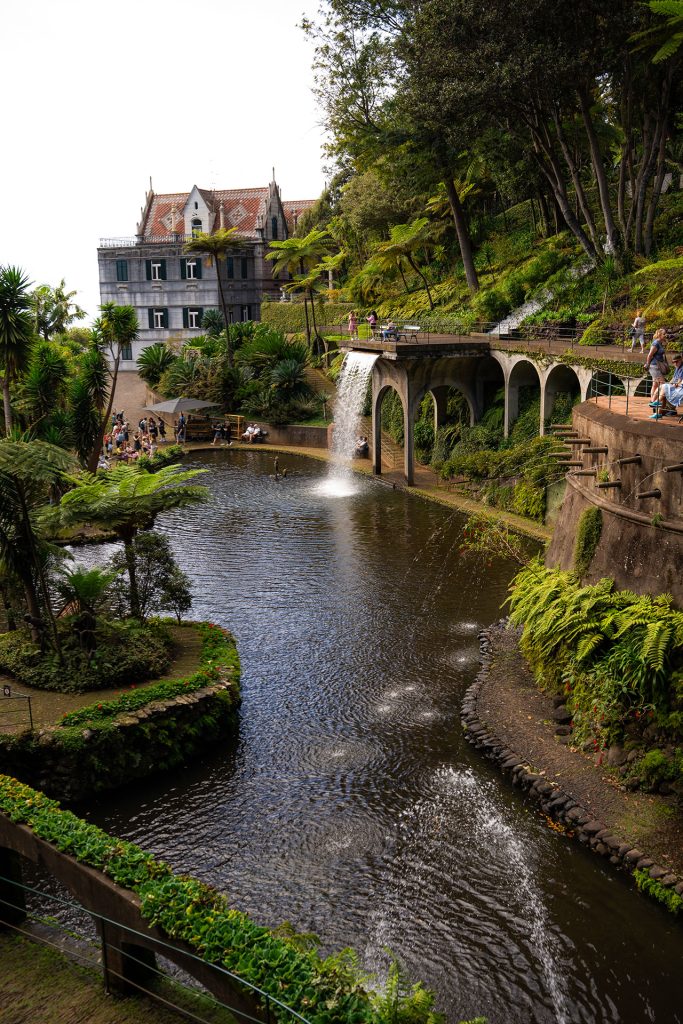 Exotic botanical gardens in Funchal, Madeira.