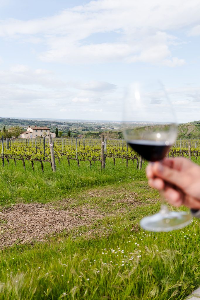 Guests enjoying guided wine tasting among the vineyards at Borgo Condé.