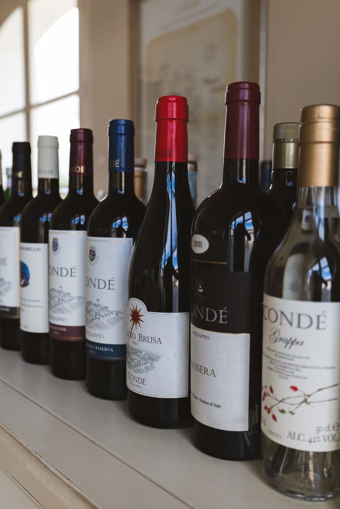Guests enjoying guided wine tasting among the vineyards at Borgo Condé.
