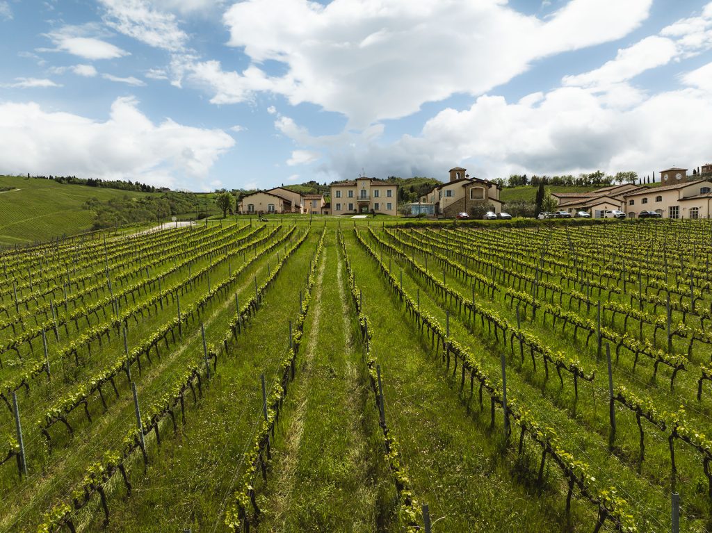 Vineyard-lined pathway leading to villas at Borgo Condé Wine Resort.
